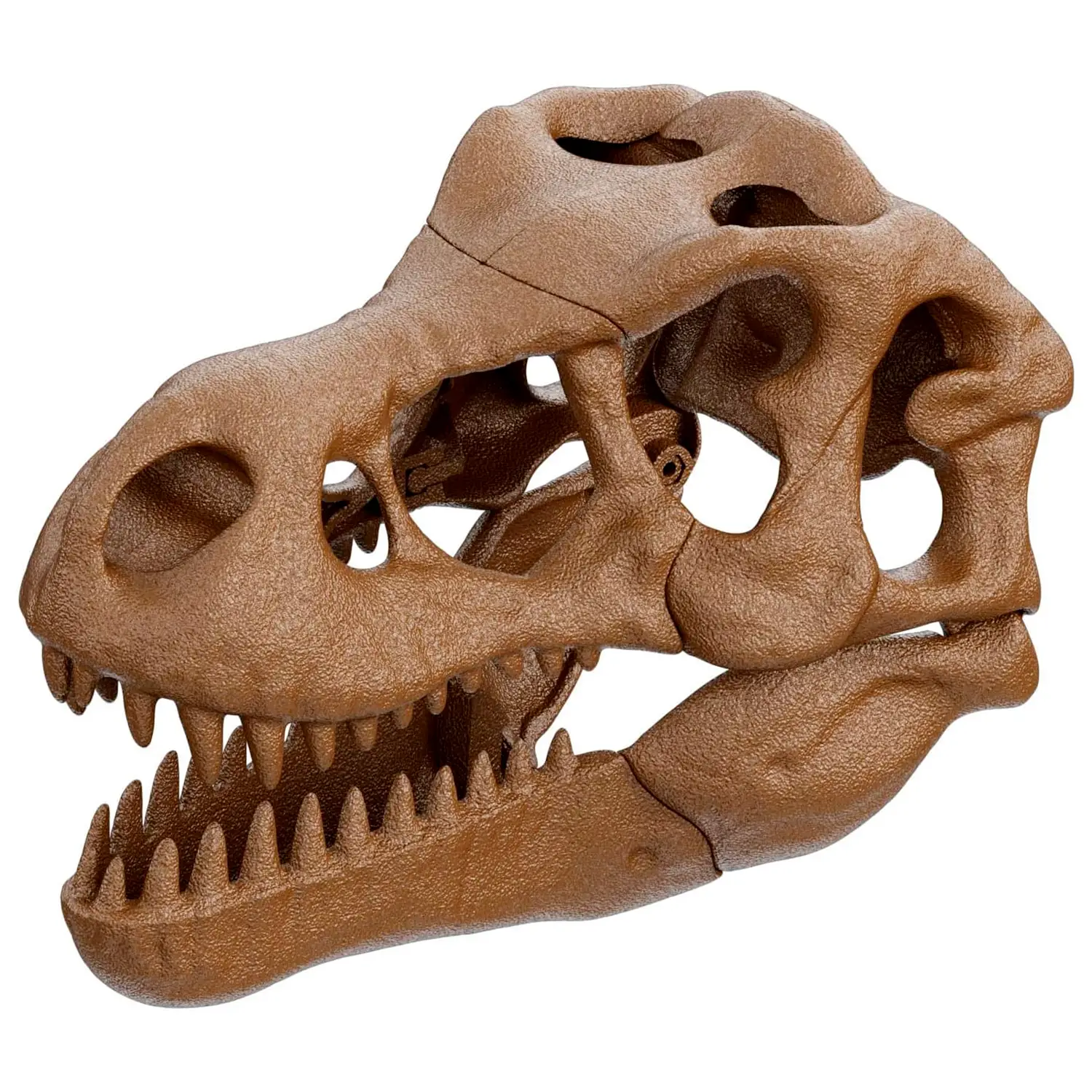 Galileo Discovery Clementoni - Set Scavo Teschio Gigante T-Rex Per Bambini 7+