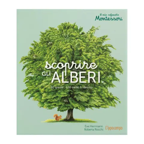 Il Mio Cofanetto Montessori - Scoprire Gli Alberi