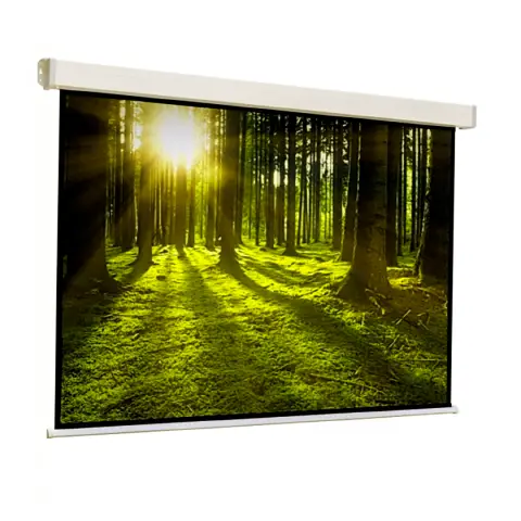Schermo A Parete Cm. 240x240