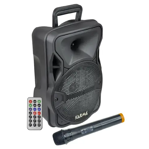 Diffusore Amplificato 300W Bluetooth Con Radiomicrofono