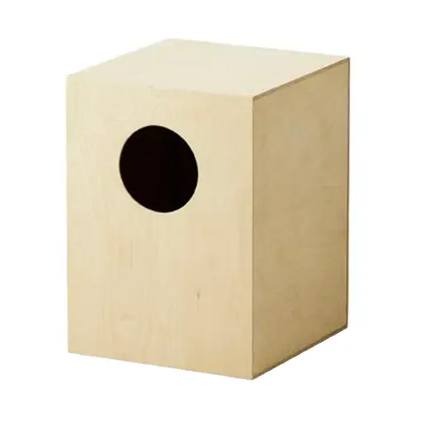 Cajon in Legno per Bambini, Strumento a Percussione Educativo