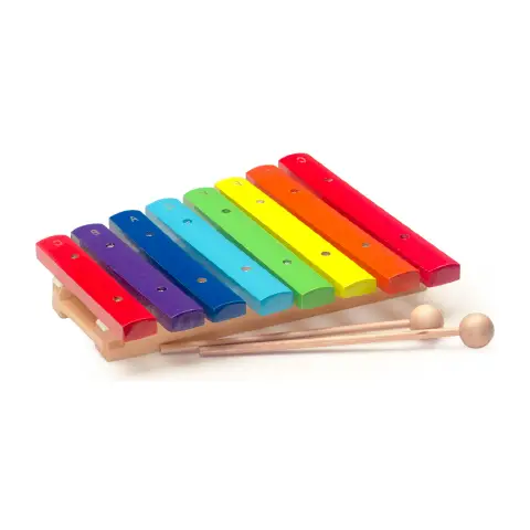 Xilofono in Legno Colorato per Bambini 8 Note con Battenti