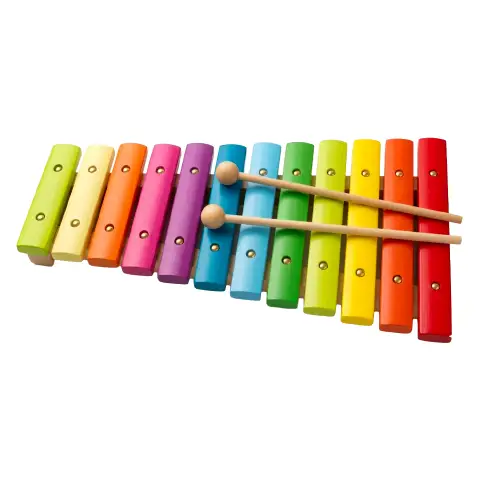 Xilofono in Legno Colorato per Bambini 12 Note con Battenti