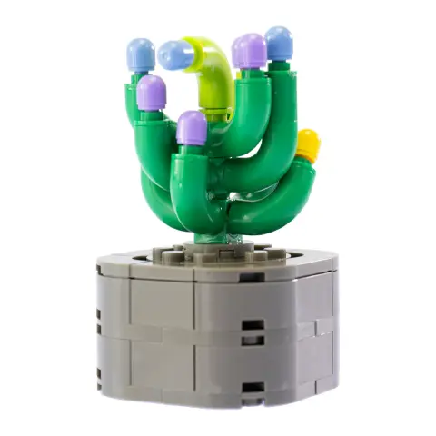 Mattoncini Pianta Esotica Sanseveria Velvet 78048