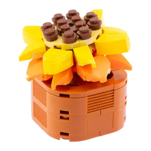 Mattoncini Pianta Esotica Sedum Adolphii 78043