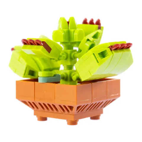 Mattoncini Pianta Esotica Dionaea Muscipola 78049