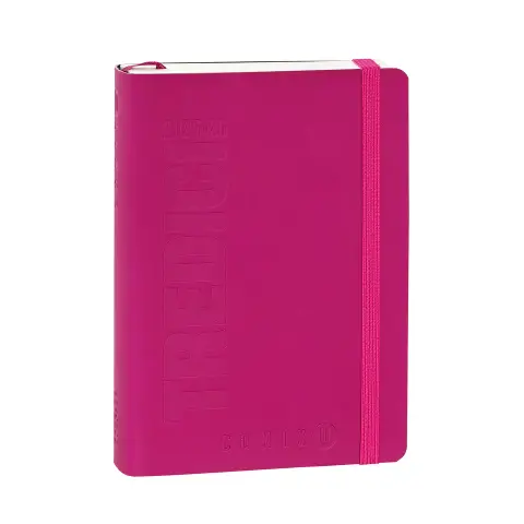 Comix U Yourself Agenda 13 Mesi Day Mini Fuxia