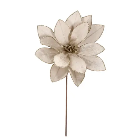 Poinsettia Calipso Fiore Natalizio 50cm Champagne