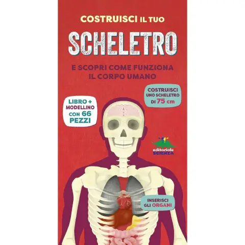 Libro Costruisci Il Tuo Scheletro Con Modellino Da Costruire