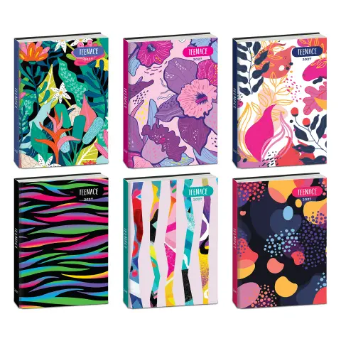 Teenace Diario Pocket 12 Mesi