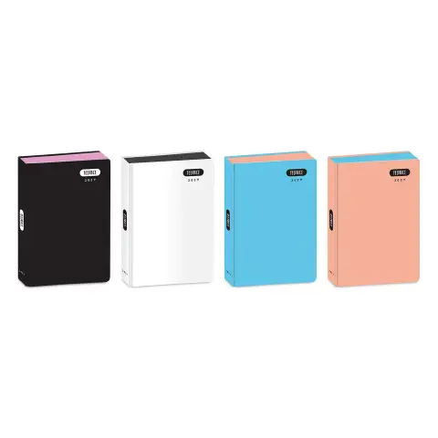 Teenace Diario Pocket 12 Mesi Pastello