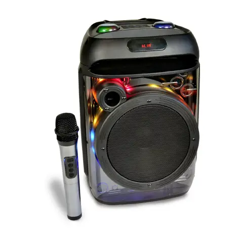 Cassa Con Microfono Wireless E Luci 270x410x270 Mm
