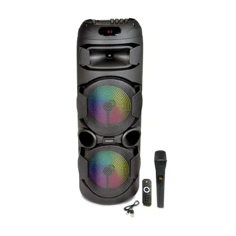 Cassa Acustica Wireless Con Microfono Senza Fili E Luci RGB