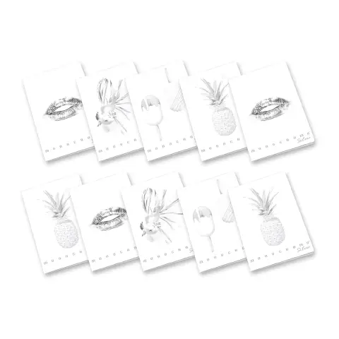 Quaderno Maxi Pigna Monocromo Silver - 72 Pagine - Rigatura 1R - confezione 10 pz