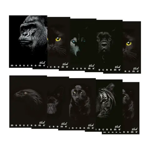 Quaderno Maxi Pigna Monocromo Black - 72 Pagine - Rigatura 1R - confezione 10 pz