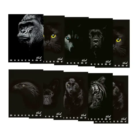 Quaderno Maxi Pigna Monocromo Black - 72 Pagine - Rigatura 5M - confezione 10 pz