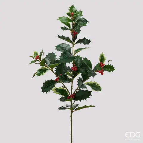 Natale Agrifoglio Ramo H.75 C6 Green