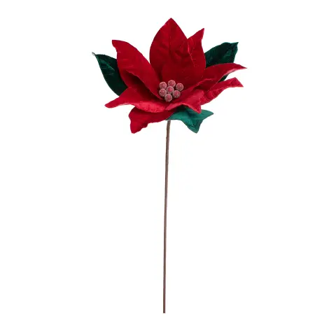 Poinsettia Natalizia Ertemios Rosso Verde 28x50h
