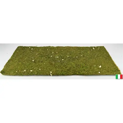 Foglio Carta con Muschio Naturale 70 x 50 cm