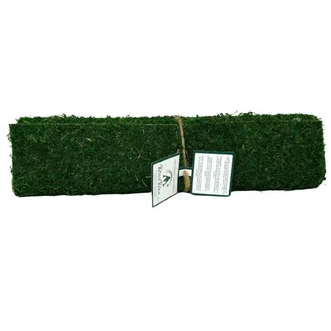 Foglio Carta Muschio Verde con Adesivo cm. 40x90