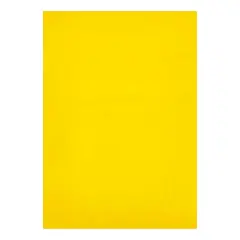 Cellophane Trasparente Colorati 48 Fogli in A4 - Carta e cartoncino