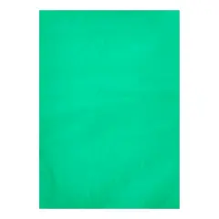 Cellophane Trasparente Colorati 48 Fogli in A4 - Carta e cartoncino