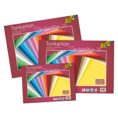 Cartoncino 220 gr. in 25 Colori cm. 35x50 - Carta e cartoncino