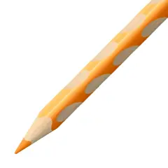 Pastelloni Easycolor per Destrimani – 12 Colori Inclusi Oro E Argento + Temperino - Pastelli