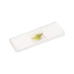 Microscopio Tascabile con Luce LED – Ingrandimento 60x–120x - Microscopi