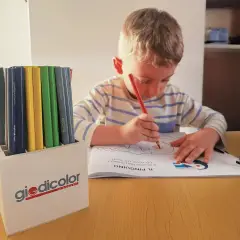 Matitoni Colorati Triangolari Giodicolor: 48 Pastelloni Maxi in 12 Colori Vivaci - Pastelli