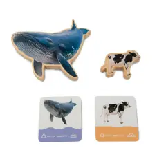 Puzzle Dimensioni degli Animali, Gioco Educativo in legno con Immagini Reali - Incastri e puzzle in legno