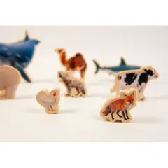 Puzzle Dimensioni degli Animali, Gioco Educativo in legno con Immagini Reali - Incastri e puzzle in legno