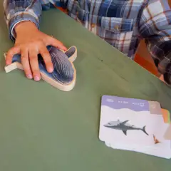 Puzzle Dimensioni degli Animali, Gioco Educativo in legno con Immagini Reali - Incastri e puzzle in legno