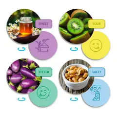 Scopri il Senso del Gusto e i Sapori – 40 Tessere + Ruota - Associazioni e tombole