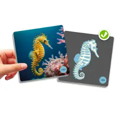 Maxi Memory Animali Vertebrati e Loro Scheletro, Gioco Educativo per Bambini - Associazioni e tombole