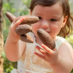 Geometria in Natura STEM Kit con Loose Parts, Gioco Euristico per Bambini dai 18 Mesi - leggere scrivere contare racco