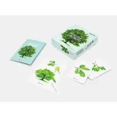 Il Mio Cofanetto Montessori - Scoprire Gli Alberi - Prima biblioteca