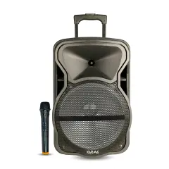 Diffusore Amplificato Deep 12 Con Microfono - Sistemi audio