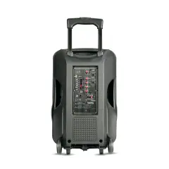 Diffusore Amplificato Deep 12 Con Microfono - Sistemi audio