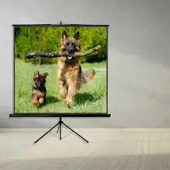 Schermo Treppiedi Tripod 180x180 - Dispositivi audiovisivi