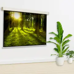 Schermo A Parete Cm. 240x240 - Dispositivi audiovisivi