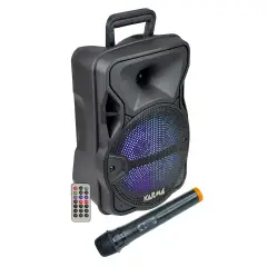 Diffusore Amplificato 300W Bluetooth Con Radiomicrofono - Sistemi audio
