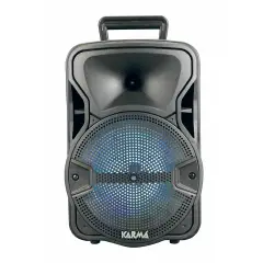 Diffusore Amplificato 300W Bluetooth Con Radiomicrofono - Sistemi audio