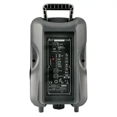 Diffusore Amplificato 300W Bluetooth Con Radiomicrofono - Sistemi audio