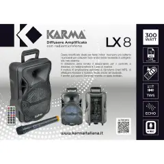 Diffusore Amplificato 300W Bluetooth Con Radiomicrofono - Sistemi audio