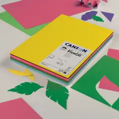 Cartoncino Vivaldi Canson Iris A4 185 g/m² - 120 Fogli Colori Vivaci Assortiti - Carta e cartoncino