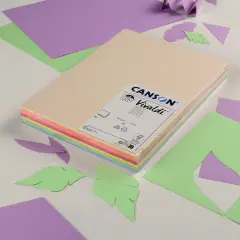 Cartoncino Vivaldi Canson Iris A4 185 g/m² - 120 Fogli Colori Pastello Assortiti - Carta e cartoncino