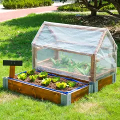 Serra Didattica Greenhouse in Legno per Asili e Scuole - Giardinaggio