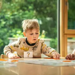 Concept Kids Animali Gioco Da Tavolo Per Bambini - Giochi di società