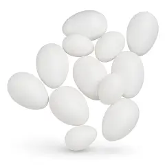 Uova in Plastica Bianche 65 mm  Confezione 50 pz - Cellulosa Plastica Polistirolo